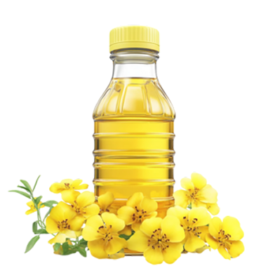 Canola