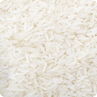 Arroz