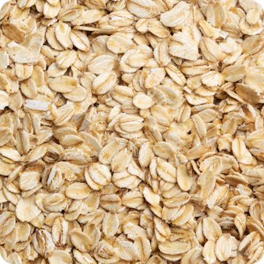 Avena